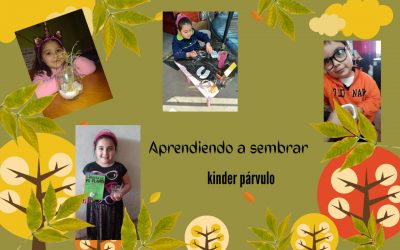 Actividades Realizadas: Agosto 2021